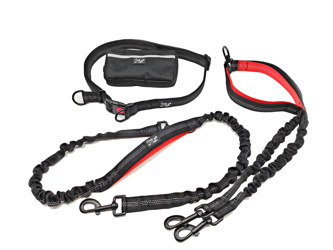 Ultimate Control Hands-Free Double-Dog Leash No-Tangle No-Pull Bungee Leash