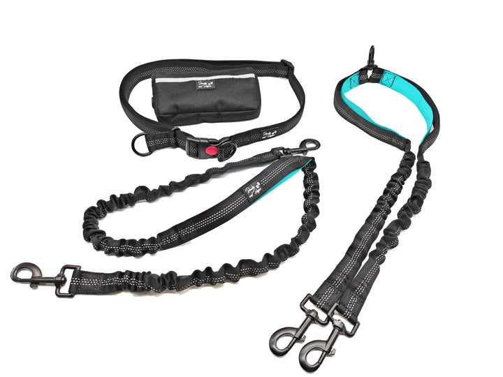 Ultimate Control Hands-Free Double-Dog Leash No-Tangle No-Pull Bungee Leash